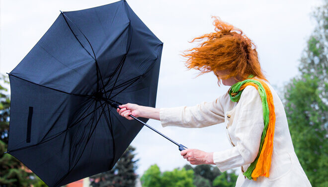 Stormschade en verzekering